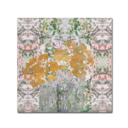 Lisa Powell Braun 'Floral Abstract' Canvas Art,35x35